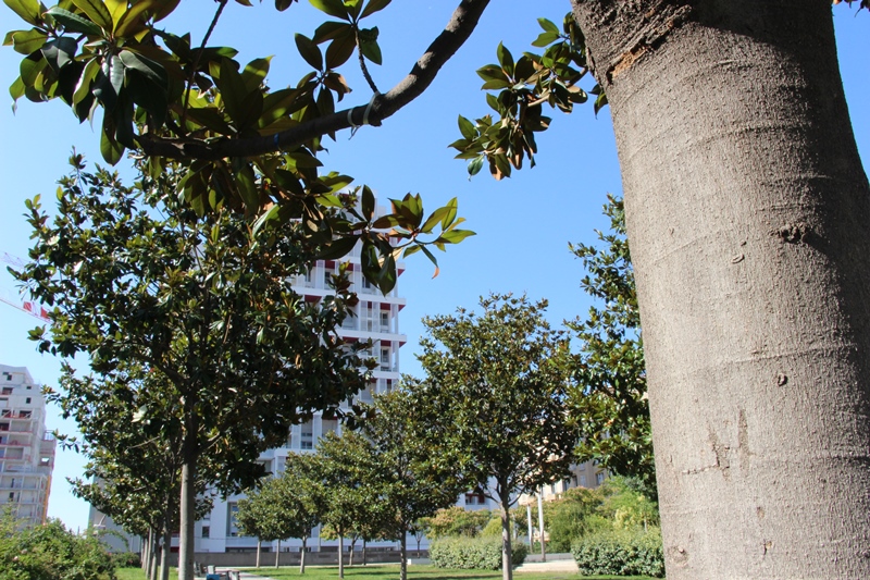 Le "jardin de lecture" des Archives départementales